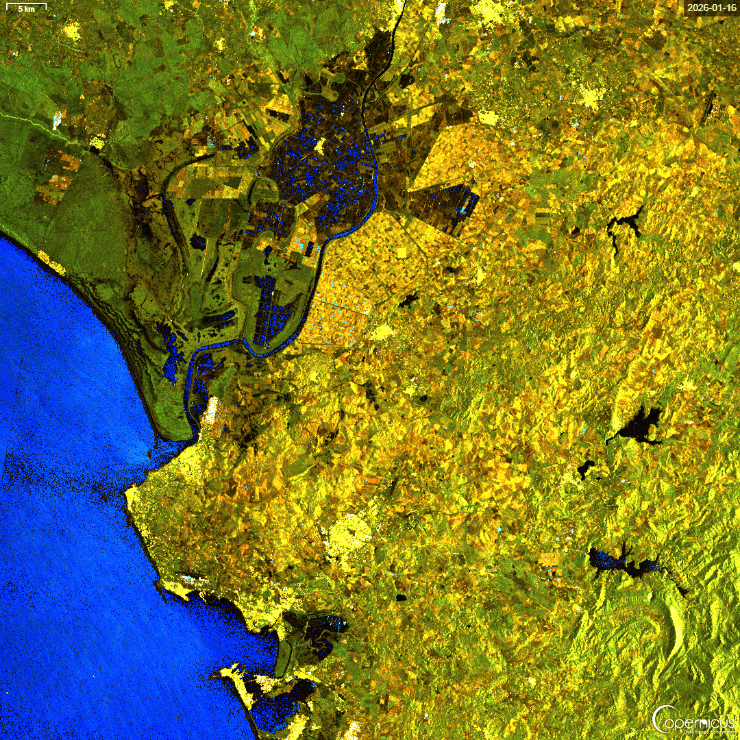 Marismas de Doñana tras la crecida del río Guadalete